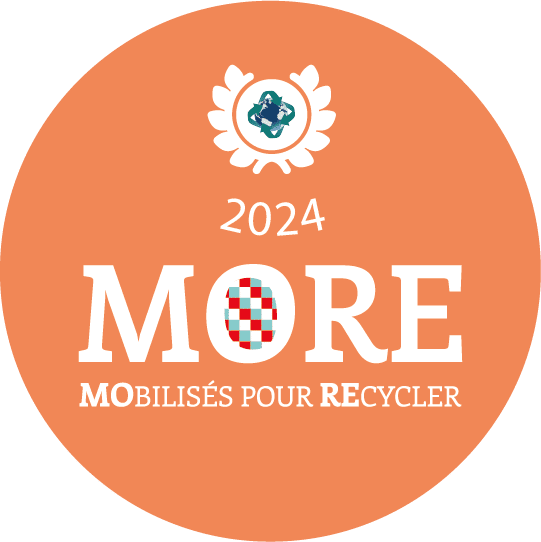 Logo More 2024